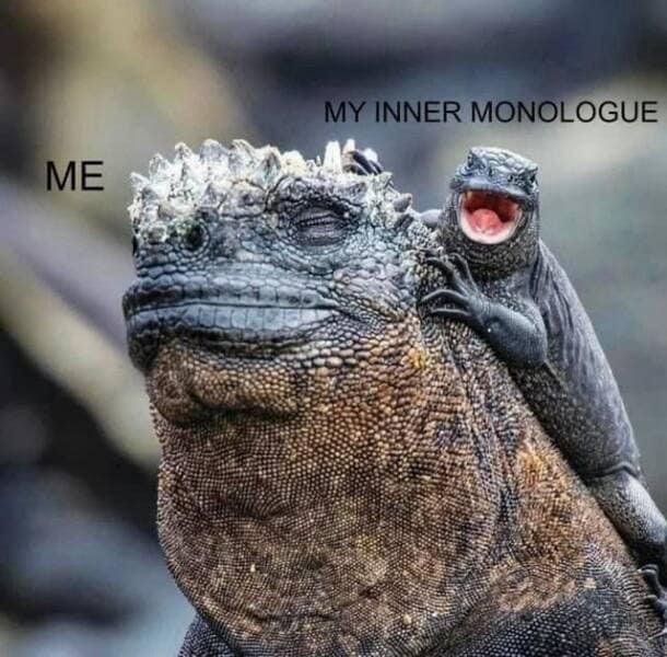 ME MY INNER MONOLOGUE