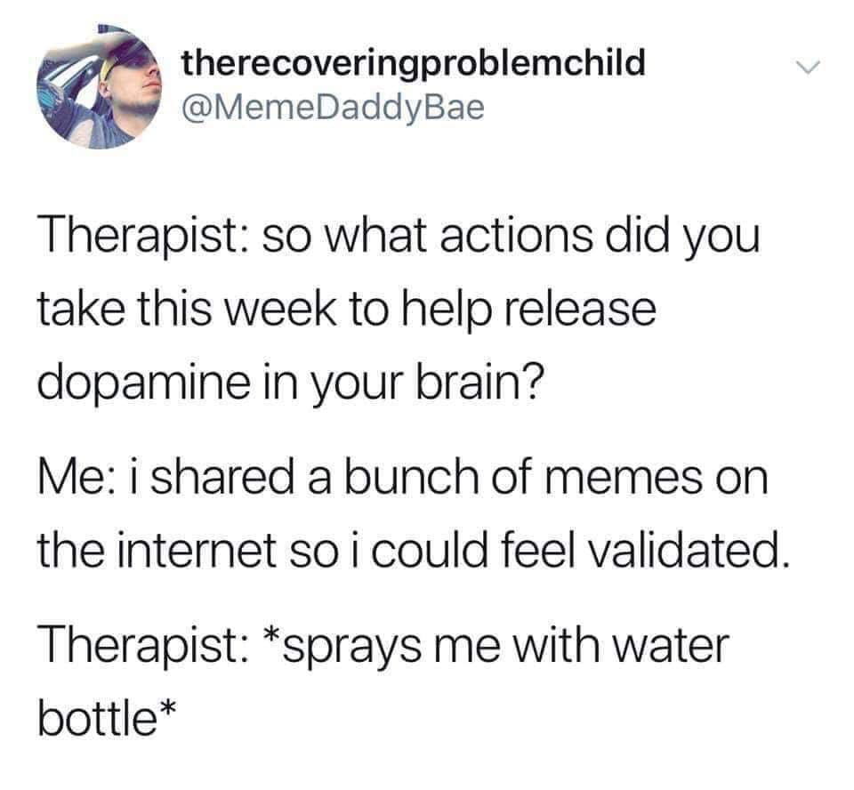 Therapist: so what actions did you take this week to help release dopamine in your brain? Me: i shared a bunch of memes on the internet so i could feel validated. Therapist: *sprays me with water bottle*
