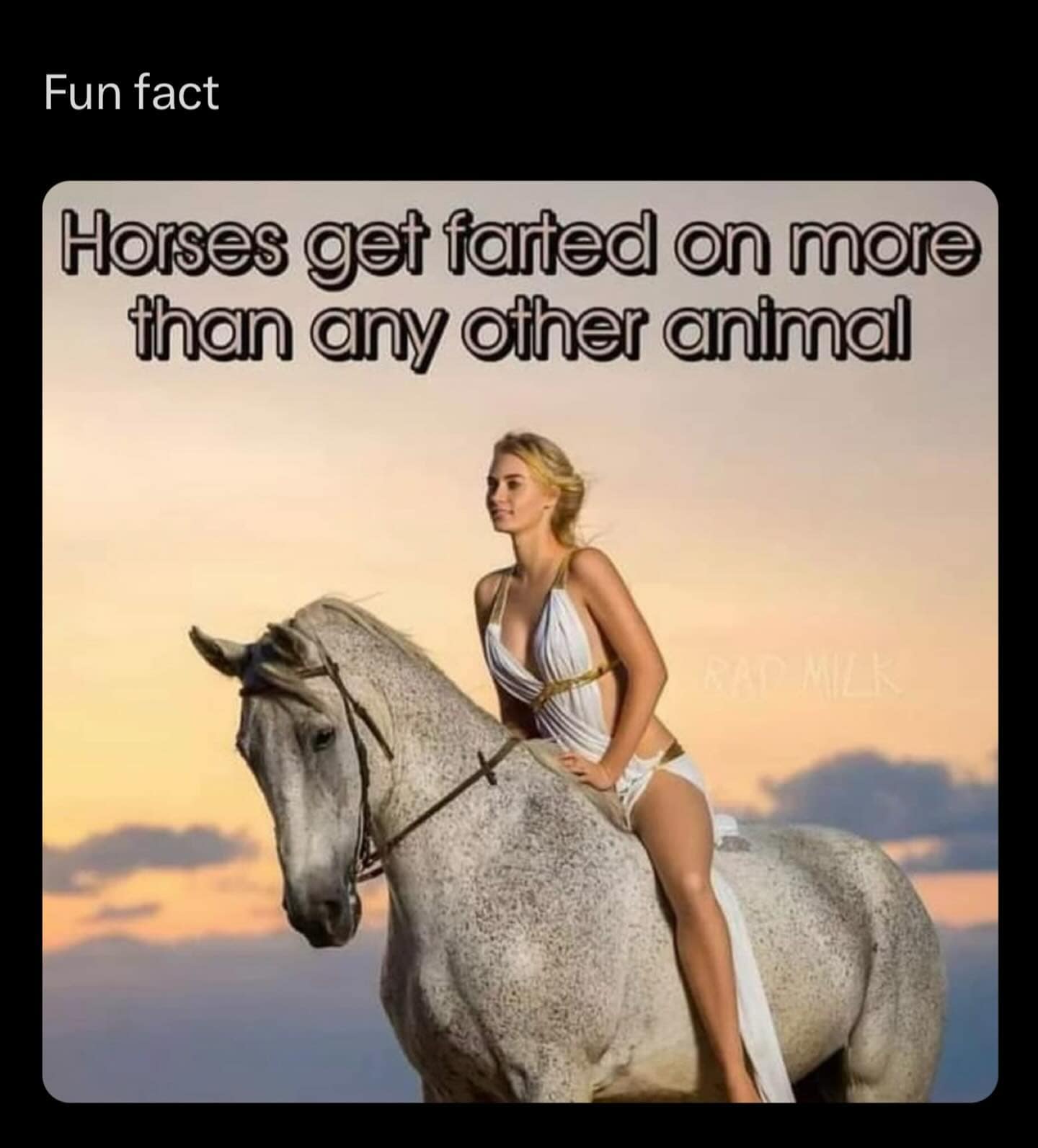 Horses get farted on more than any other animal