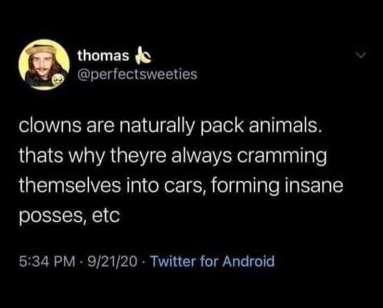 clowns are naturally pack animals. thats why theyre always cramming themselves into cars, forming insane posses, etc