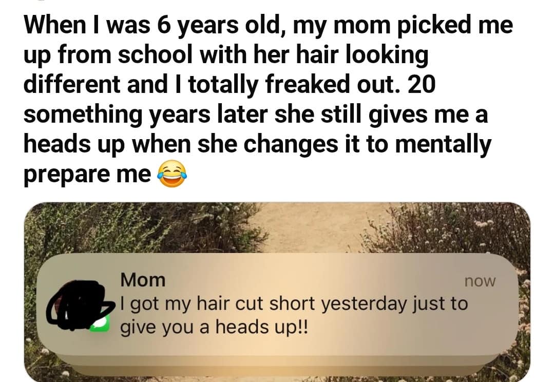 funny pictures, funny memes, funny photos, funniest pics