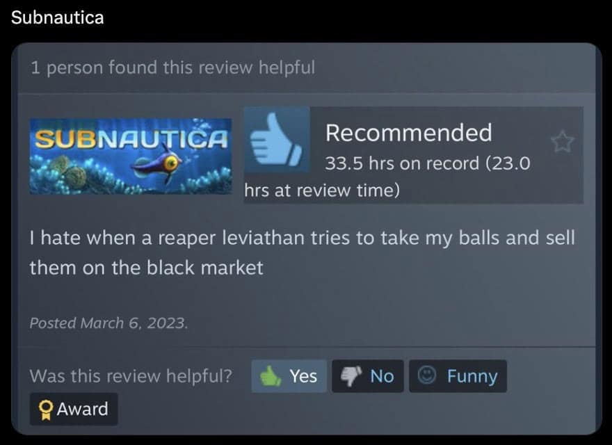 funny steam reviews, game reviews, humorous Steam reviews, gamer reviews, Steam humor, gaming jokes, video game humor, Steam comments, game reviews humor, witty Steam feedback