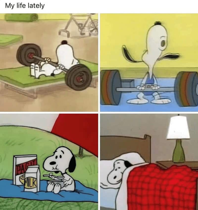 gym memes, workout memes, exercise memes, fitness humor, exercise memes fitness memes, workout humor, gym jokes holiday fitness, fitness struggles, workout challenges