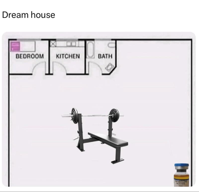 gym memes, workout memes, exercise memes, fitness humor, exercise memes fitness memes, workout humor, gym jokes holiday fitness, fitness struggles, workout challenges