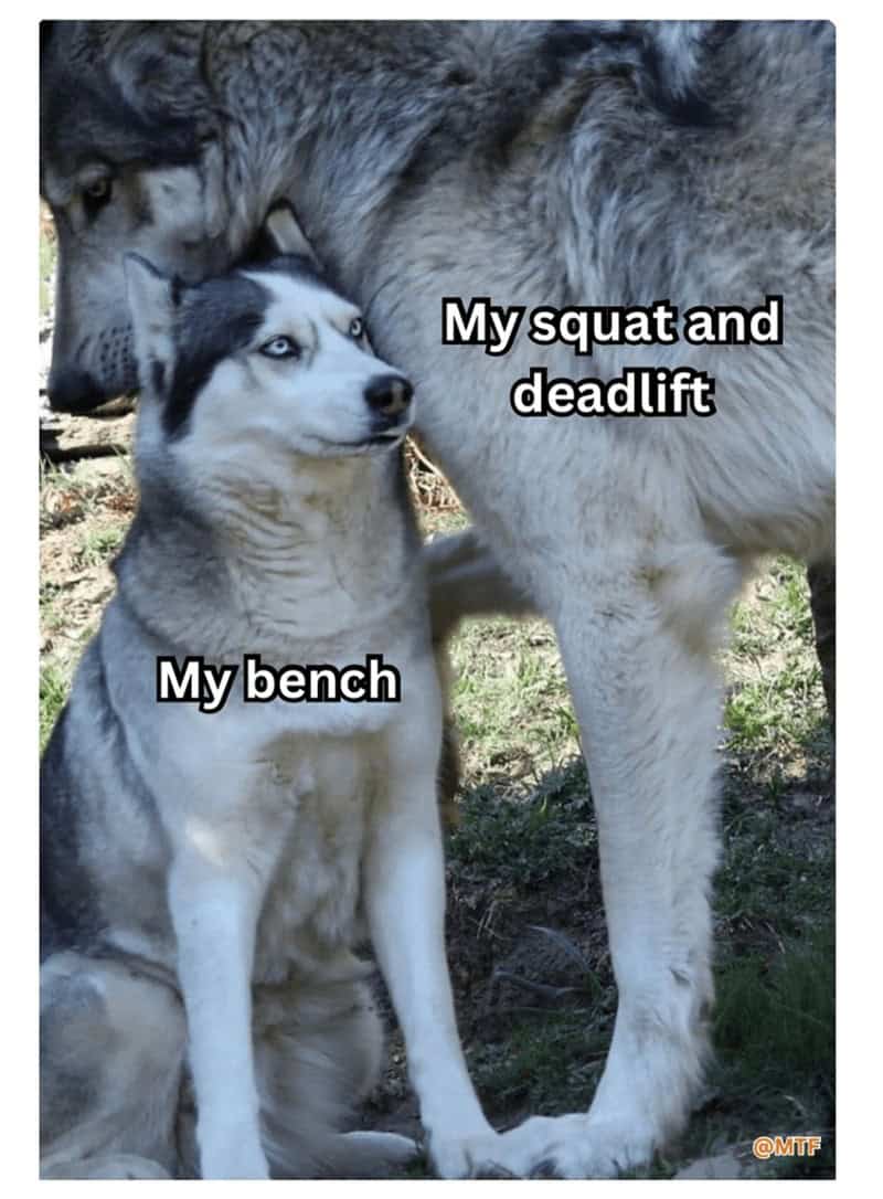 gym memes, workout memes, exercise memes, fitness humor, exercise memes fitness memes, workout humor, gym jokes holiday fitness, fitness struggles, workout challenges