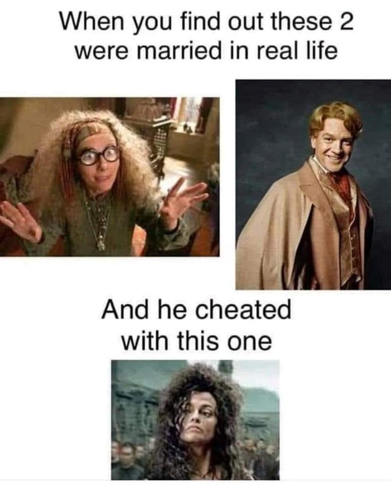 harry potter memes, Potter memes, wizarding memes Harry Potter jokes, Hogwarts memes, Harry Potter fan memes fantasy memes, magical memes, Potterhead humor