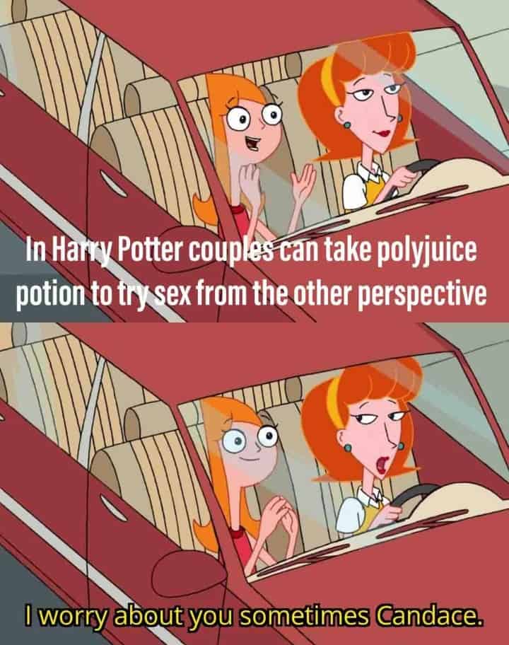 harry potter memes, Potter memes, wizarding memes Harry Potter jokes, Hogwarts memes, Harry Potter fan memes fantasy memes, magical memes, Potterhead humor