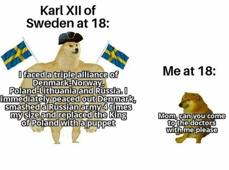 history memes, historical memes, Historical Humor, History Lessons, comedic history, meme-based learning