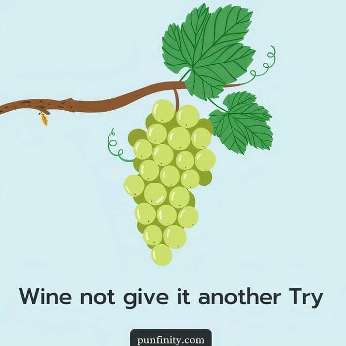 illustrated puns, punify, visual puns, graphic puns, illustrated jokes creative puns, witty puns, funny illustrations artistic puns, punny art, clever puns