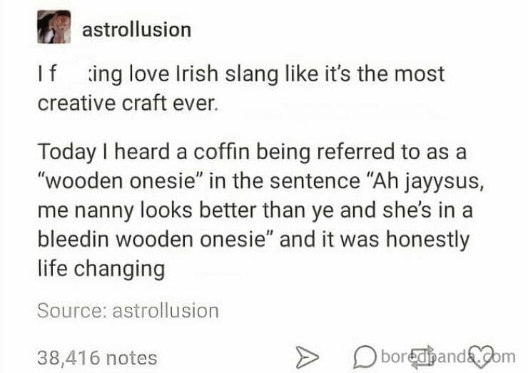 love Irish slang like it's the most creative craft ever. Today I heard a coffin being referred to as a "wooden onesie" in the sentence "Ah jayysus, me nanny looks better than ye and she's in a bleedin wooden onesie" and it was honestly life changing