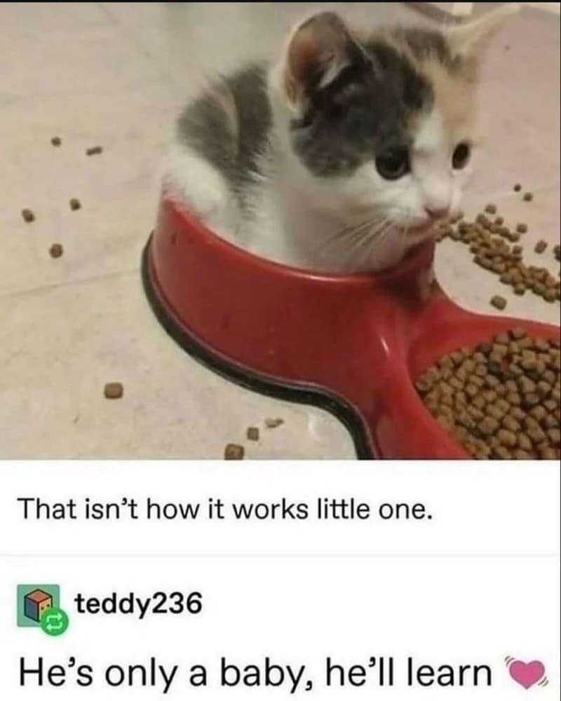 meme dump, funny memes, hilarious meme, meme collection, meme roundup, meme compilation, internet memes viral memes, trending memes, popular memes