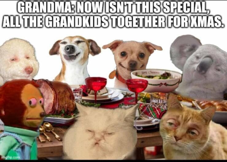 GRANDMA NOW ISNTTHIS SPECIAL, ALL THE GRANDKIDS TOGETHER CORTMAS.