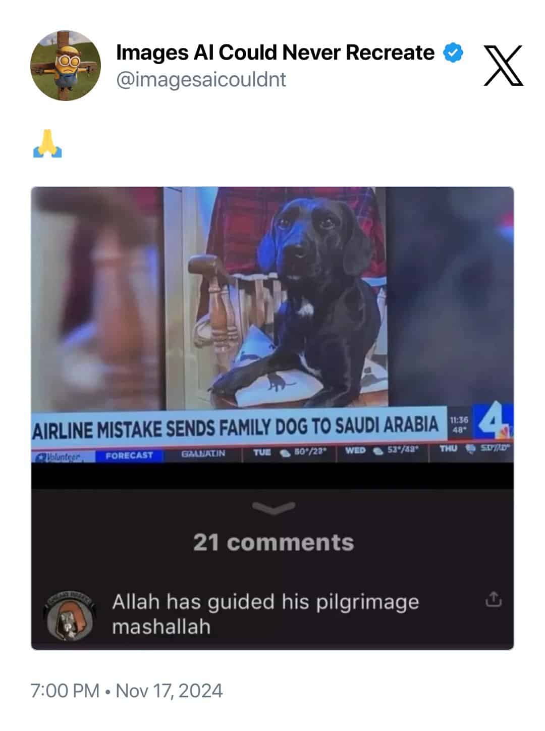 meme dump, funny memes, hilarious memes, meme collection, meme roundup, meme compilation, internet memes viral memes, trending memes, popular memes