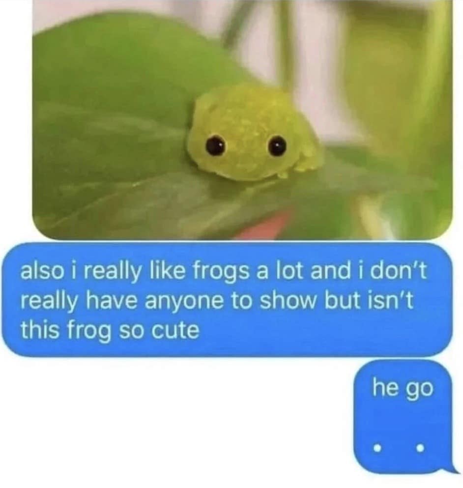 meme dump, funny memes, hilarious memes, weekend memes, Saturday memes, lazy day memes, everyday memes, life memes