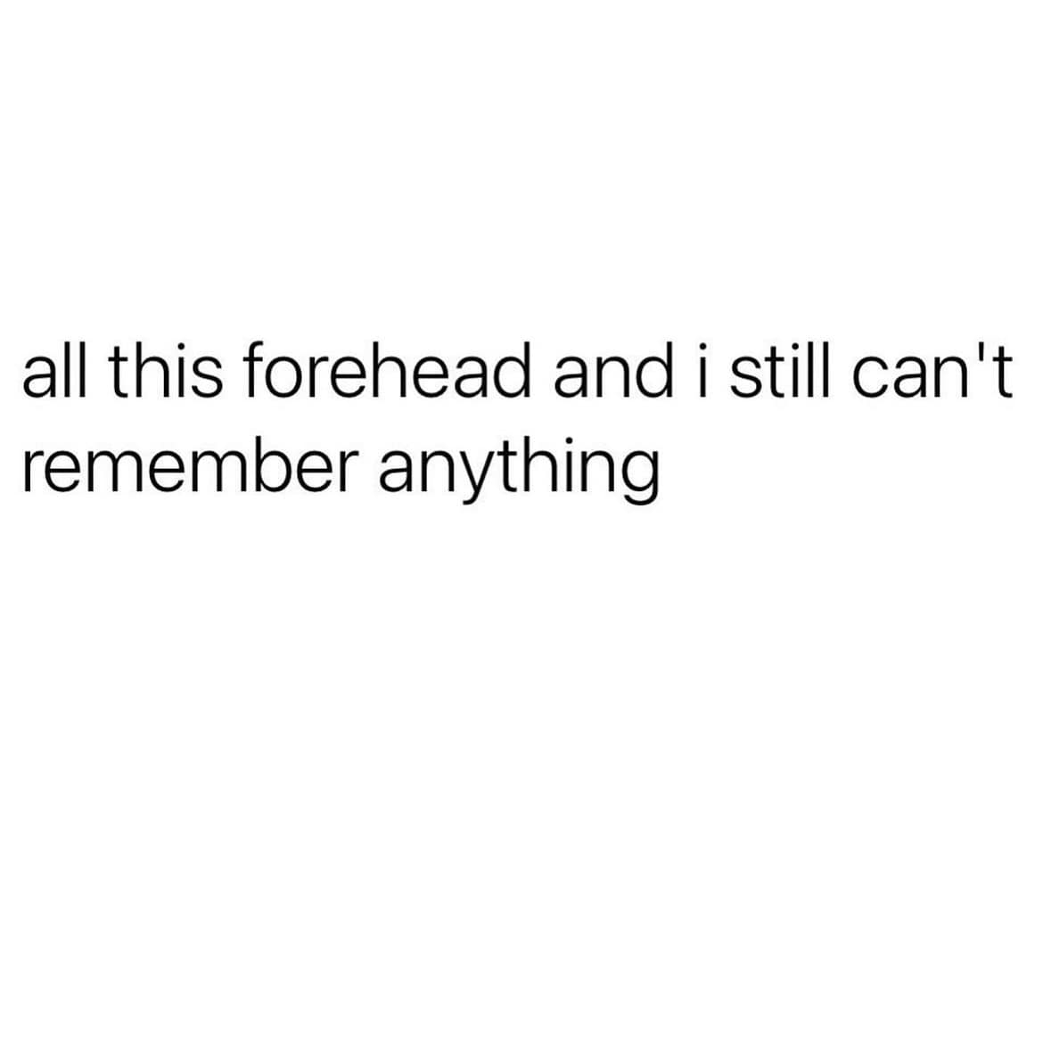 meme dump, funny memes, hilarious memes, Sunday meme dump, meme collection, funny meme assortment, viral memes, internet memes, trending memes, meme humor