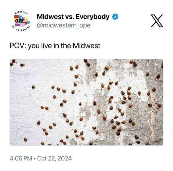 midwest memes, midwestern memes, funny memes about the Midwest, relatable memes, Midwestern life, memes from the Midwest, Midwestern humor, regional memes