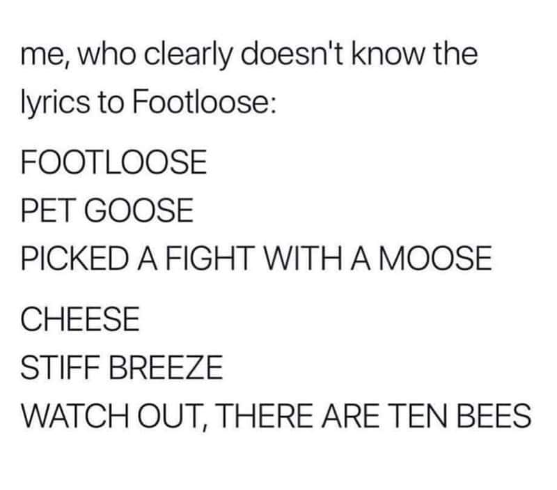 music memes, musical memes, musician memes, funny music images, Band memes, funny song memes, misheard lyrics memes, catchy tune humor, guitar memes, piano memes, drumming memes, instrument memes