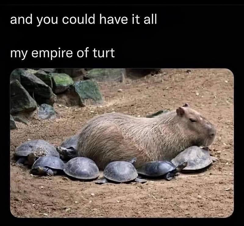 music memes, musical memes, musician memes, funny music images, Band memes, funny song memes, misheard lyrics memes, catchy tune humor, guitar memes, piano memes, drumming memes, instrument memes