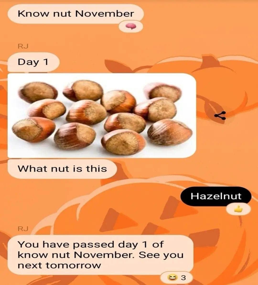 no nut november memes, nnn memes, NNN memes, no nut challenge memes, november memes, self-control memes, challenge memes, funny internet challenges, endurance memes, humorous trends