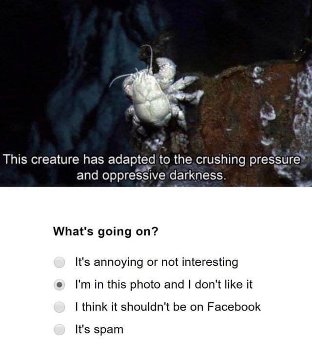 seasonal affective disorder memes, SAD memes, winter blues memes, seasonal depression memes, winter humor, cold weather struggles, funny winter memes, gloomy season humor