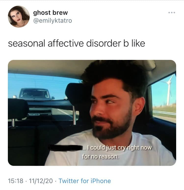 seasonal affective disorder memes, SAD memes, winter blues memes, seasonal depression memes, winter humor, cold weather struggles, funny winter memes, gloomy season humor