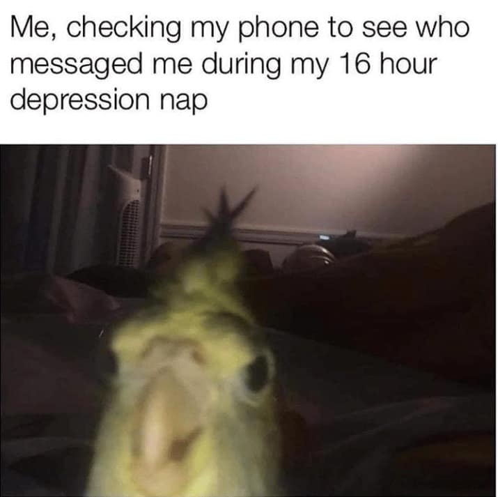 seasonal affective disorder memes, SAD memes, winter blues memes, seasonal depression memes, winter humor, cold weather struggles, funny winter memes, gloomy season humor