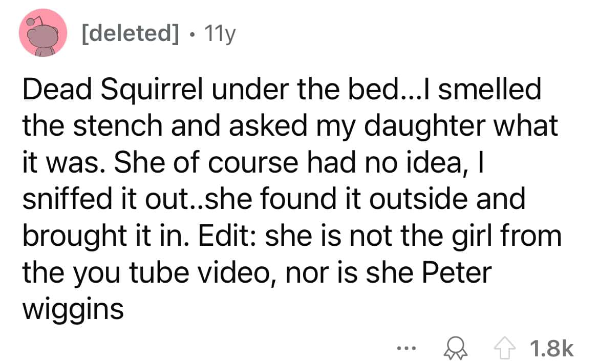 Dead Squirrel under the bed...I smelled the stench and asked my daughter what it was. She of course had no idea, I sniffed it out..she found it outside and brought it in. Edit: she is not the girl from the you tube video, nor is she Peter wiggins