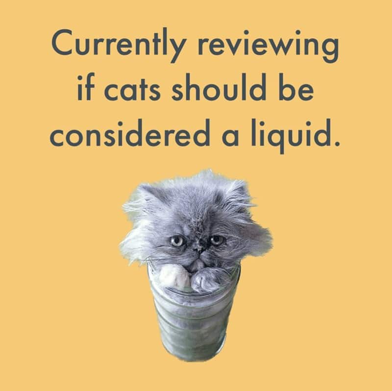 Currently reviewing if cats should be considered a liquid.