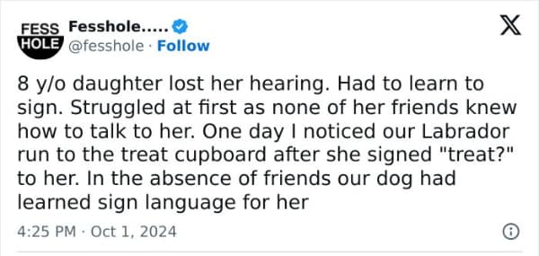 8 y/o daughter lost her hearing. Had to learn to sign. Struggled at first as none of her friends knew how to talk to her. One day I noticed our Labrador run to the treat cupboard after she signed "treat?" to her. In the absence of friends our dog had learned sign language for her