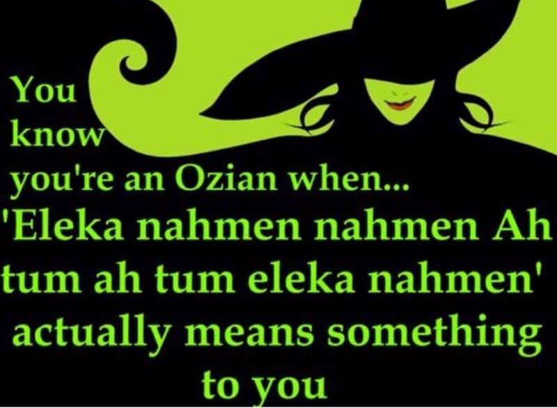 wicked memes, Wicked humor, Wicked jokes, Wicked GIFs, Wicked movie, Wicked live action, Wicked premiere, musical memes, fantasy memes