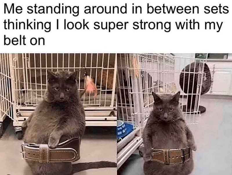 workout memes, gym memes, fitness humor, gym jokes, exercise laughter, exercise memes, fitness funnies, workout humor