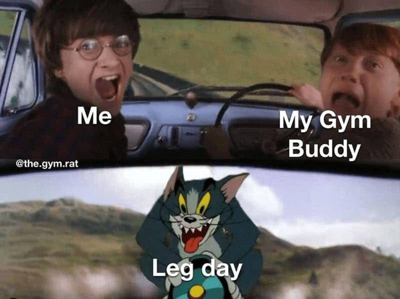 workout memes, gym memes, fitness humor, gym jokes, exercise laughter, exercise memes, fitness funnies, workout humor