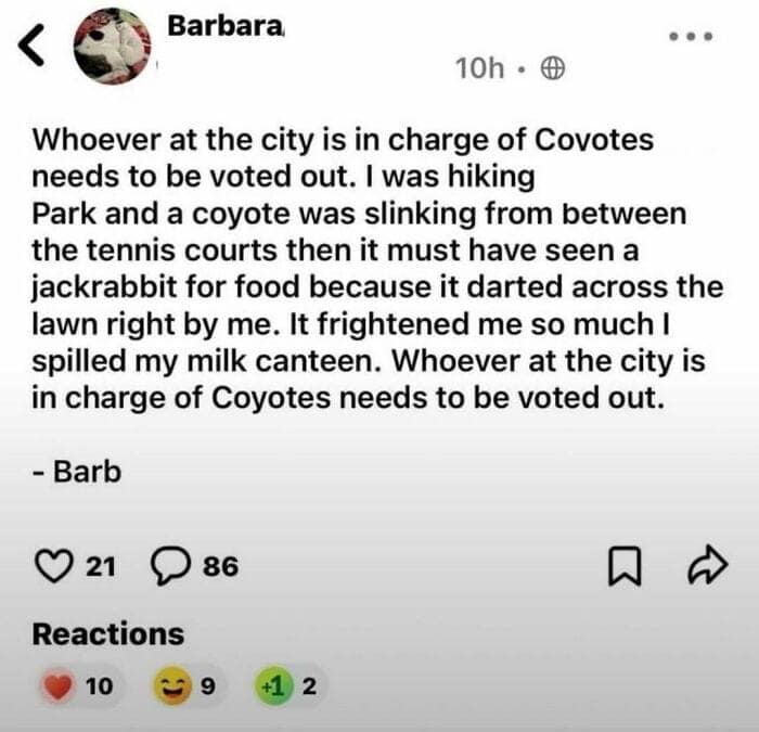 boomer memes, boomer fails, older generation memes, senior memes, vintage generation memes, baby boomer memes, 1960s generation memes, older adult memes, generational humor memes, boomer humor, senior humor, older generation humor, traditional generation comedy, boomer jokes, baby boomer jokes, older generation jokes, generational laughs