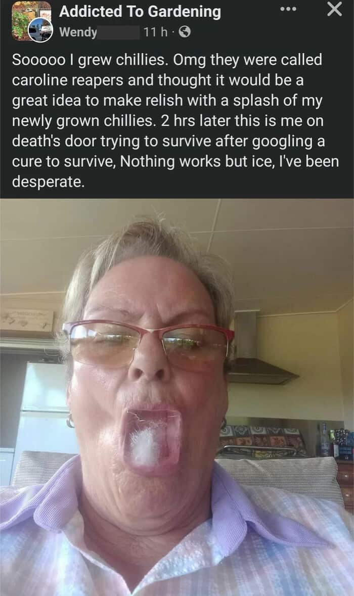 boomer memes, boomer fails, older generation memes, senior memes, vintage generation memes, baby boomer memes, 1960s generation memes, older adult memes, generational humor memes, boomer humor, senior humor, older generation humor, traditional generation comedy, boomer jokes, baby boomer jokes, older generation jokes, generational laughs