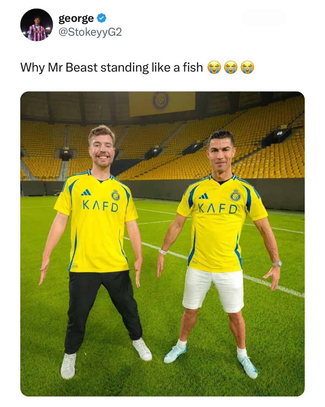 british memes, uk memes, UK-based memes, English-themed memes, Anglophone humor images, British online jokes, Britain-inspired laughs, island nation wisecracks English humor, dry English wit, subtle Albion sarcasm, understated British funnies, British humor, culturally British laughs, uniquely English ridicule, quaint island irony