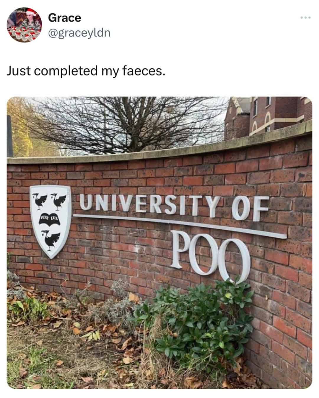 british memes, uk memes, UK-based memes, English-themed memes, Anglophone humor images, British online jokes, Britain-inspired laughs, island nation wisecracks English humor, dry English wit, subtle Albion sarcasm, understated British funnies, British humor, culturally British laughs, uniquely English ridicule, quaint island irony