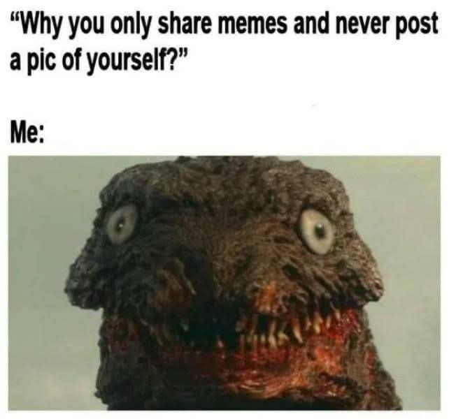 "Why you only share memes and never post a pic of yourself?" Me: