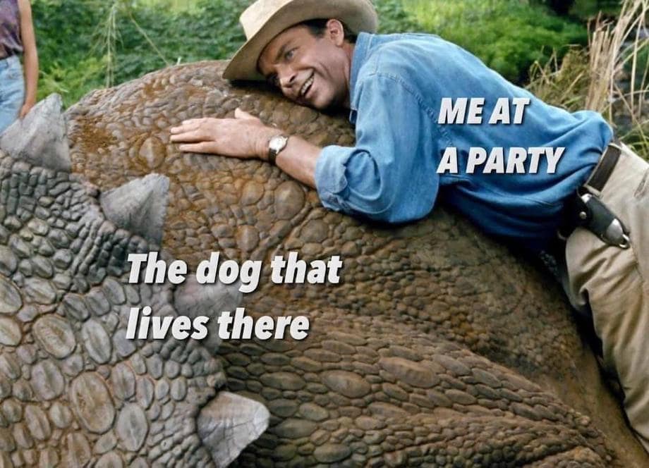 The dog that lives there MEAT A PARTY classic memes, vintage memes, viral tweets, timeless memes, evergreen memes, old memes, trending memes, popular memes, internet memes, Internet classics, web classics, online classics, digital classics
