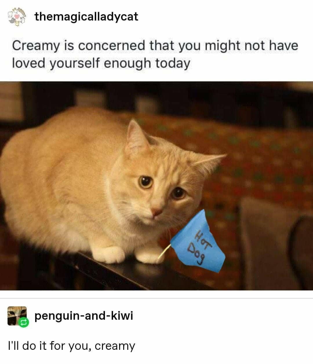 classic memes, vintage memes, viral tweets, timeless memes, old memes, evergreen memes, trending tweets, popular tweets, famous tweets, web classics, online classics, digital classics, trending memes, popular memes, internet memes