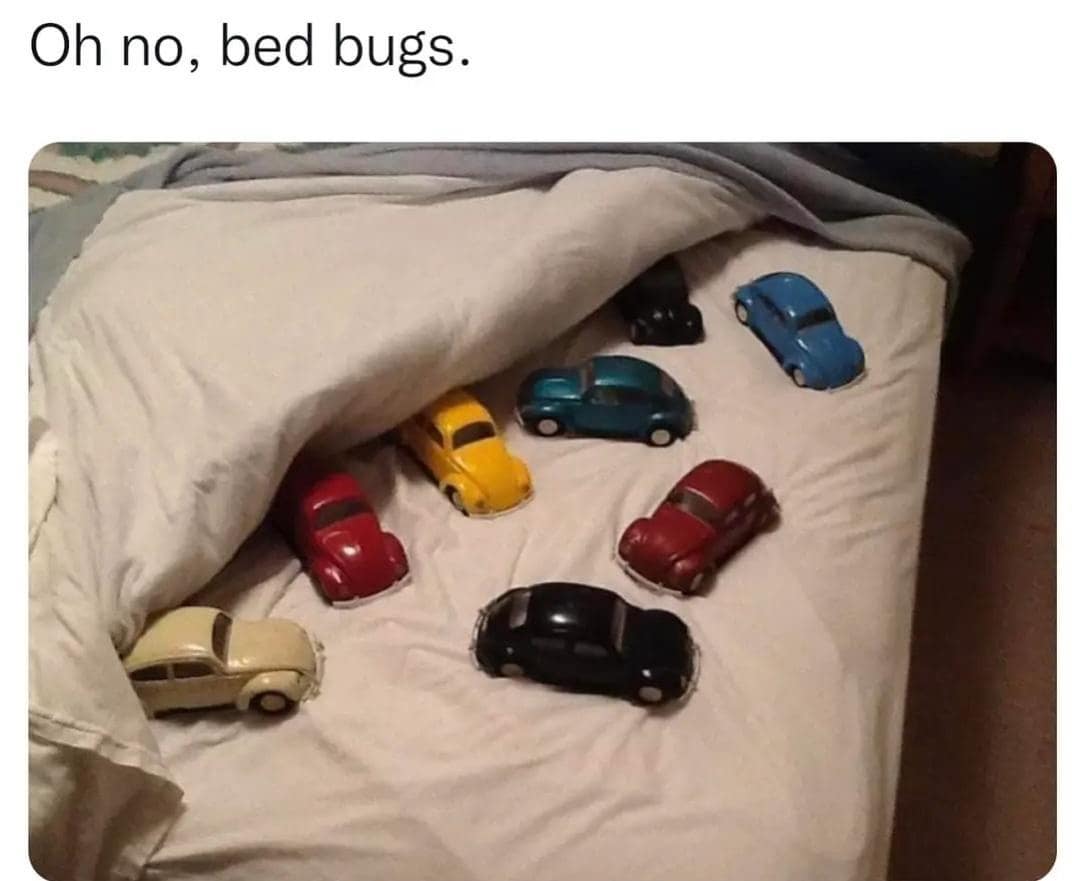 classic memes, vintage memes, viral tweets, vintage net jokes, old-school meme relics, retro online humor, viral memes, widely shared laughs, hugely popular images, net-favorite jokes, old memes, antiquated image gags, early web references, historical internet funnies, timeless memes, ever-relevant humor bits, perennial online wit, enduring digital chuckles