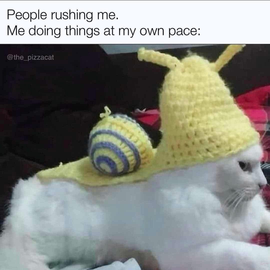 classic memes, vintage memes, viral tweets, timeless memes, old memes, evergreen memes, trending tweets, popular tweets, famous tweets, web classics, online classics, digital classics, trending memes, popular memes, internet memes