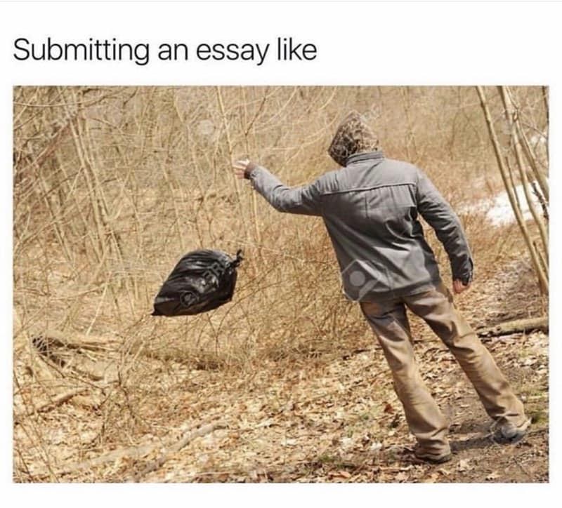 classic memes, vintage memes, viral tweets, old memes, vintage online jokes, retro meme content, old-school digital humor, viral memes, widespread web hits, internet-famed images, net-famous jokes, outdated funnies, legacy visuals, past-era giggles, timeless memes, evergreen joke material, enduring witty images, perpetual online laughs