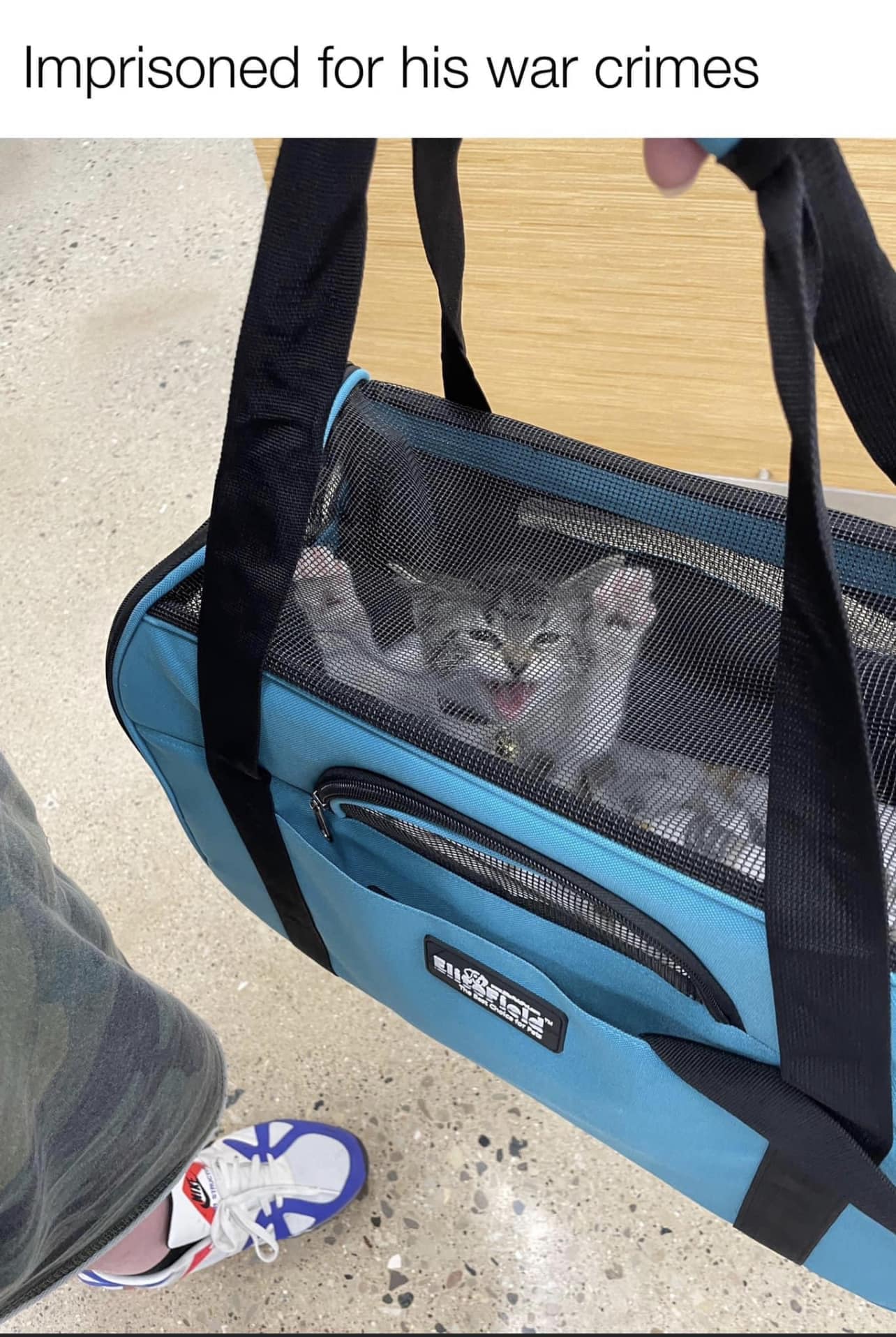 classic memes, vintage memes, viral tweets, vintage net jokes, old-school meme relics, retro online humor, viral memes, widely shared laughs, hugely popular images, net-favorite jokes, old memes, antiquated image gags, early web references, historical internet funnies, timeless memes, ever-relevant humor bits, perennial online wit, enduring digital chuckles