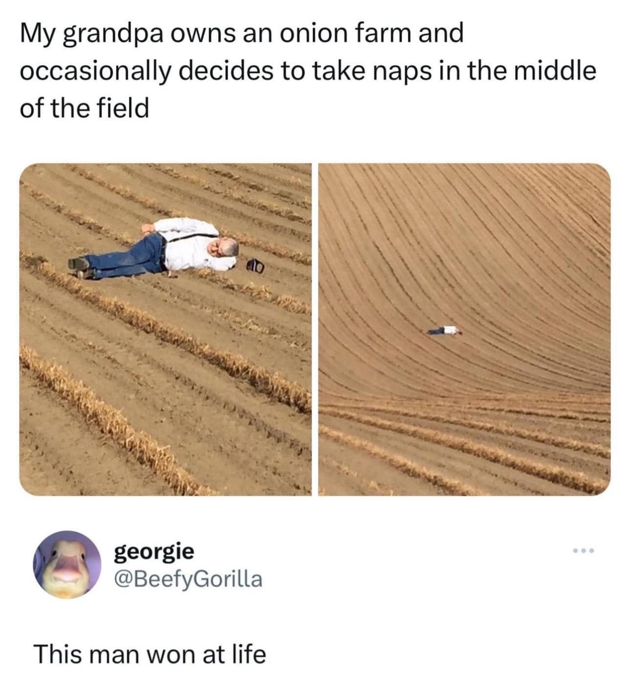 classic memes, vintage memes, viral tweets, timeless chuckles, nostalgia memes, best memes, old memes