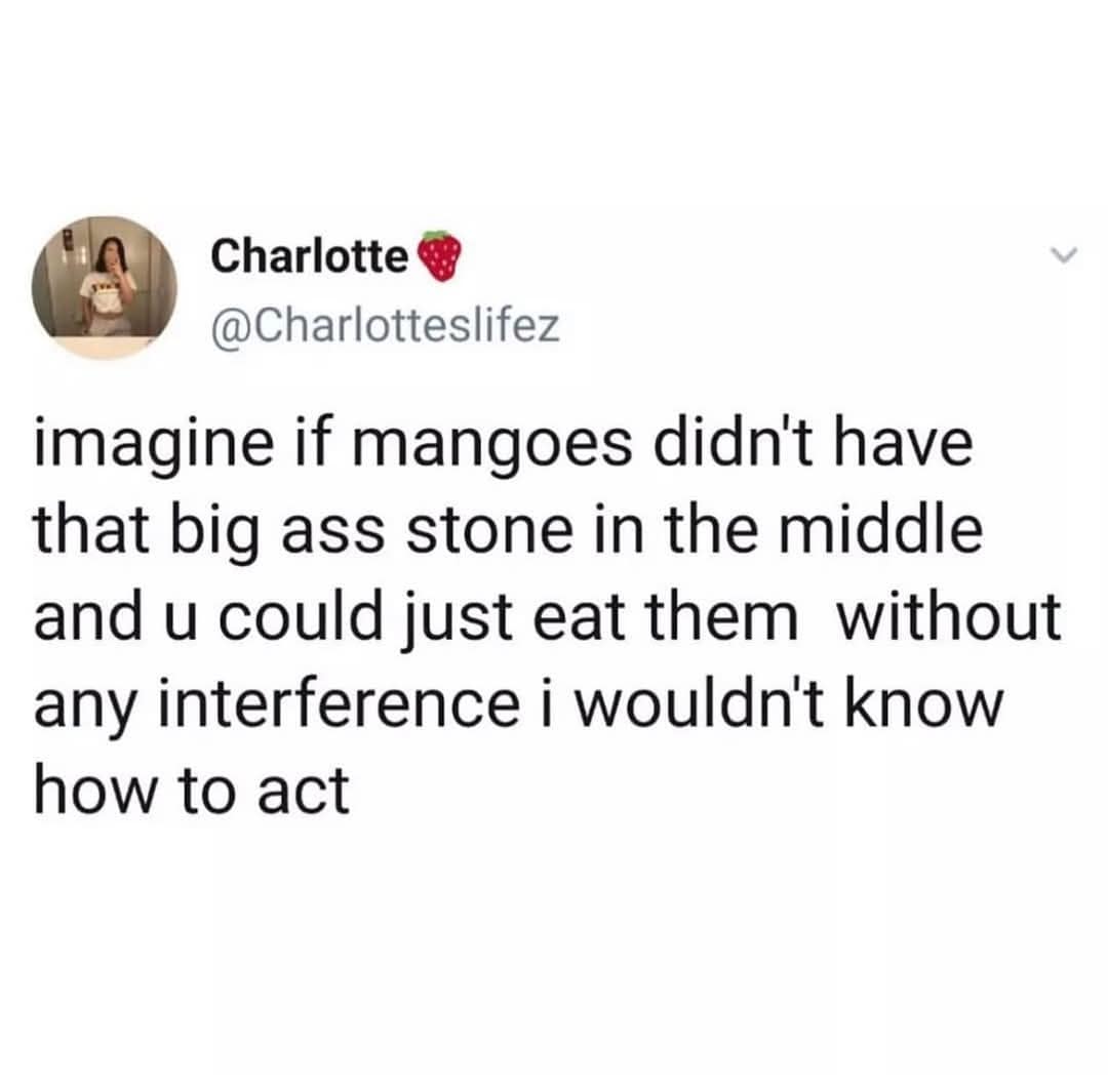 classic memes, vintage memes, viral tweets, old memes, vintage online jokes, retro meme content, old-school digital humor, viral memes, widespread web hits, internet-famed images, net-famous jokes, outdated funnies, legacy visuals, past-era giggles, timeless memes, evergreen joke material, enduring witty images, perpetual online laughs