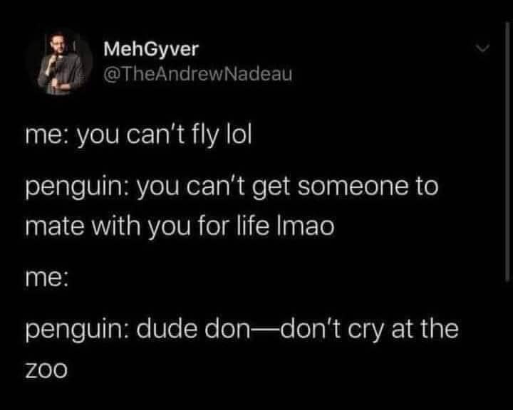 classic memes, vintage memes, viral tweets, old memes, vintage online jokes, retro meme content, old-school digital humor, viral memes, widespread web hits, internet-famed images, net-famous jokes, outdated funnies, legacy visuals, past-era giggles, timeless memes, evergreen joke material, enduring witty images, perpetual online laughs