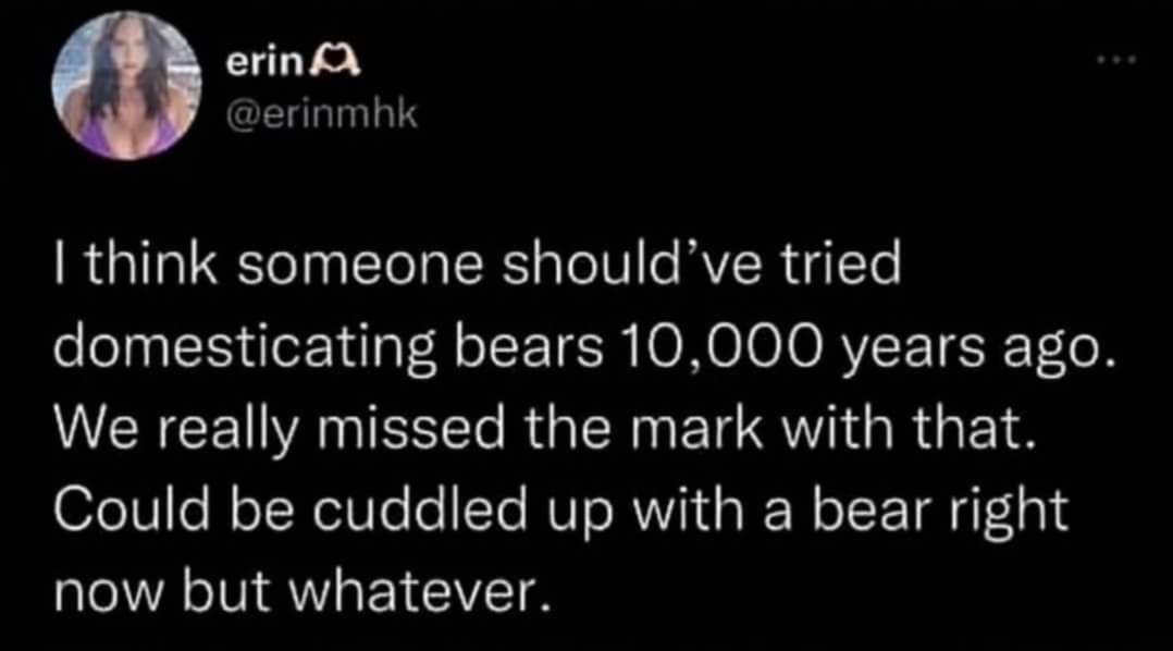 classic memes, vintage memes, viral tweets, legendary memes, timeless memes, vintage internet memes, retro meme content, nostalgic humor graphics, old-school internet fun old internet jokes, vintage online humor, retro web gags, bygone digital quips timeless meme humor, enduring meme wit, everlasting internet laughs, perennial web chuckles