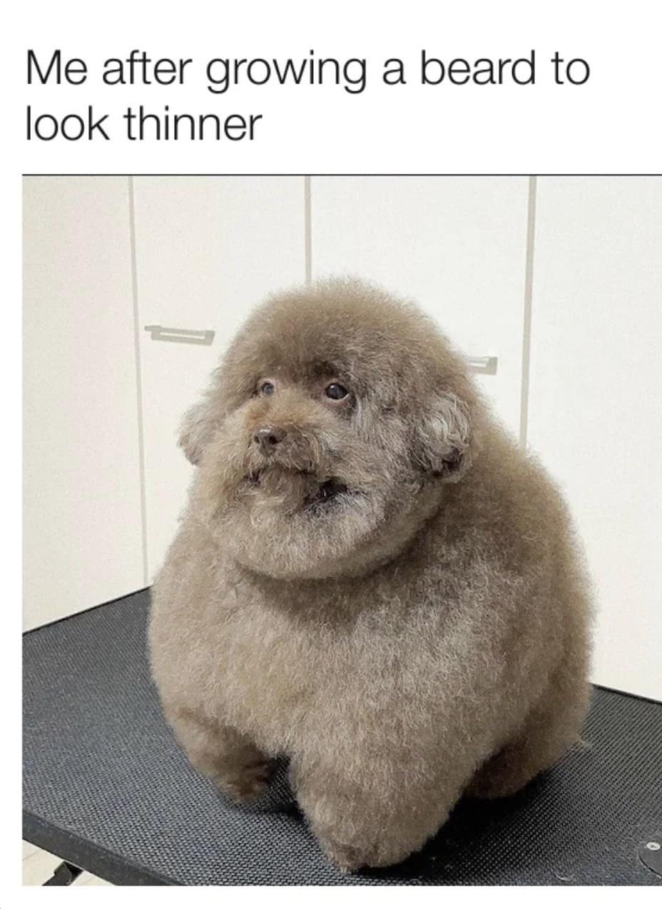 classic memes, vintage memes, viral tweets, timeless memes, evergreen memes, old memes, trending memes, popular memes, internet memes, Internet classics, web classics, online classics, digital classics