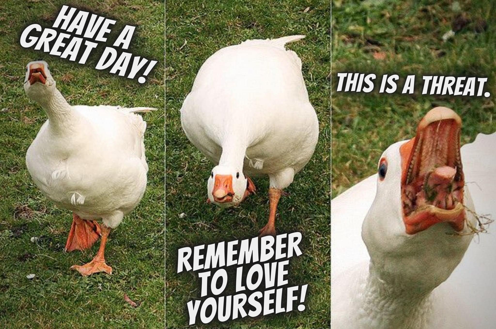 HAVE A GREAT DAY! REMEMBER TO LOVE YOURSELF! THIS IS A THREAT.