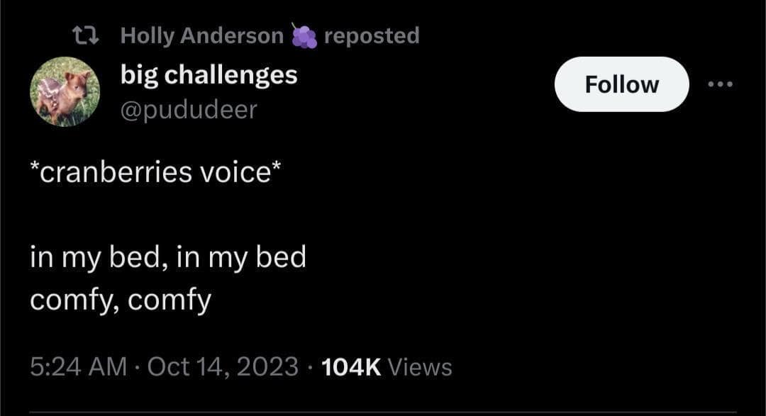 Holly Anderson big challenges @pududeer *cranberries voice* reposted in my bed, in my bed comfy, comfy 5:24 AM • Oct 14, 2023 • 104K Views Follow .. •